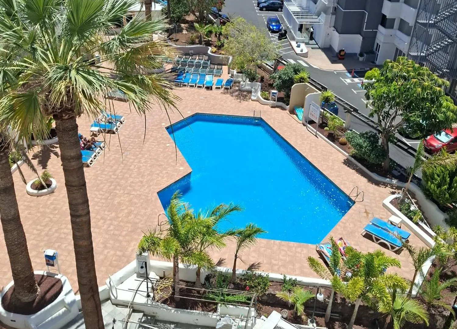 Apartamento Under The Palm Playa de las Américas 0*,