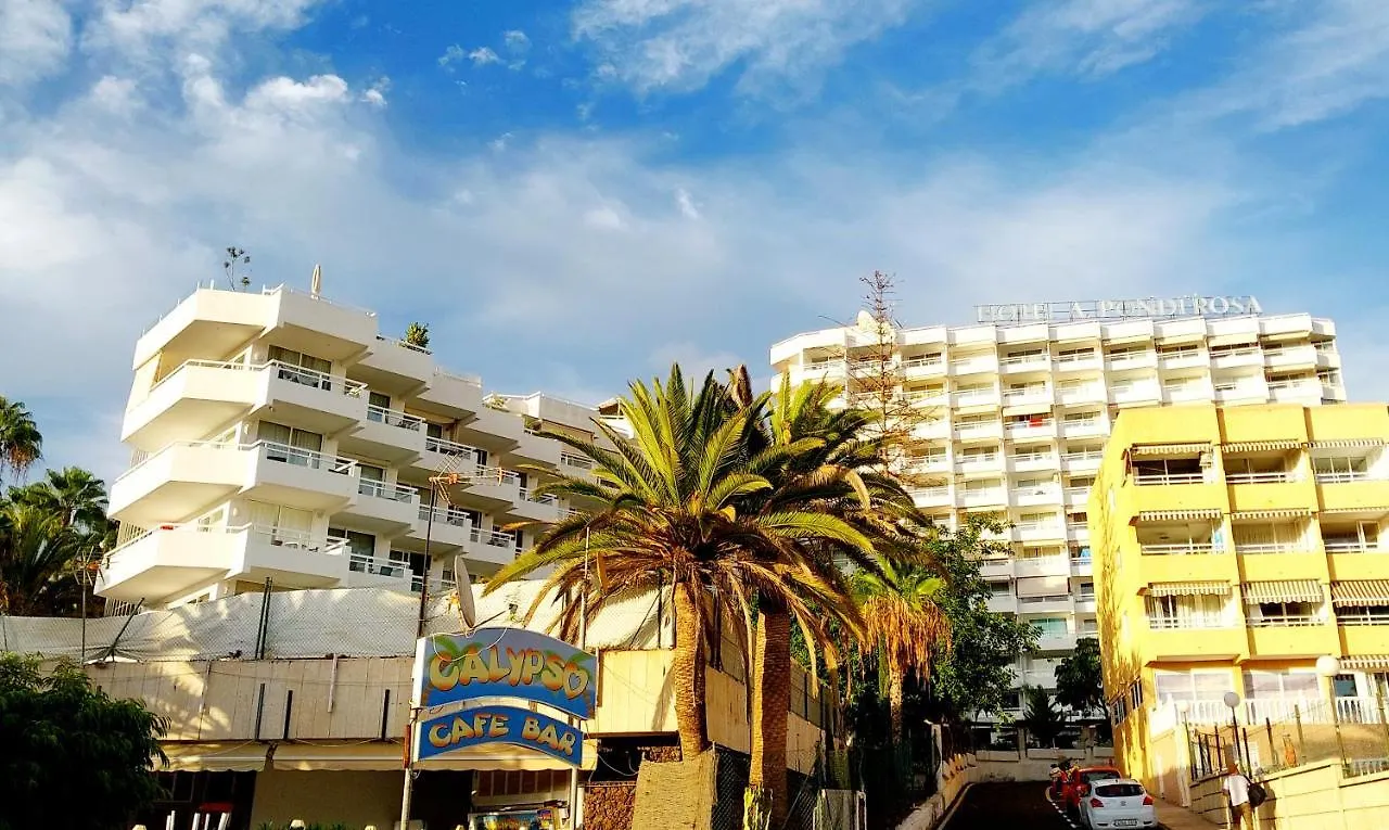 Apartment Ferienwohnung Under The Palm Playa de las Américas